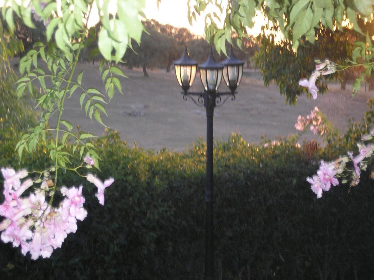 Casa Rural "El Carrasca" El Carrascalejo Bagian luar foto