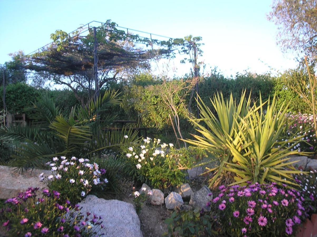 Casa Rural "El Carrasca" El Carrascalejo Bagian luar foto