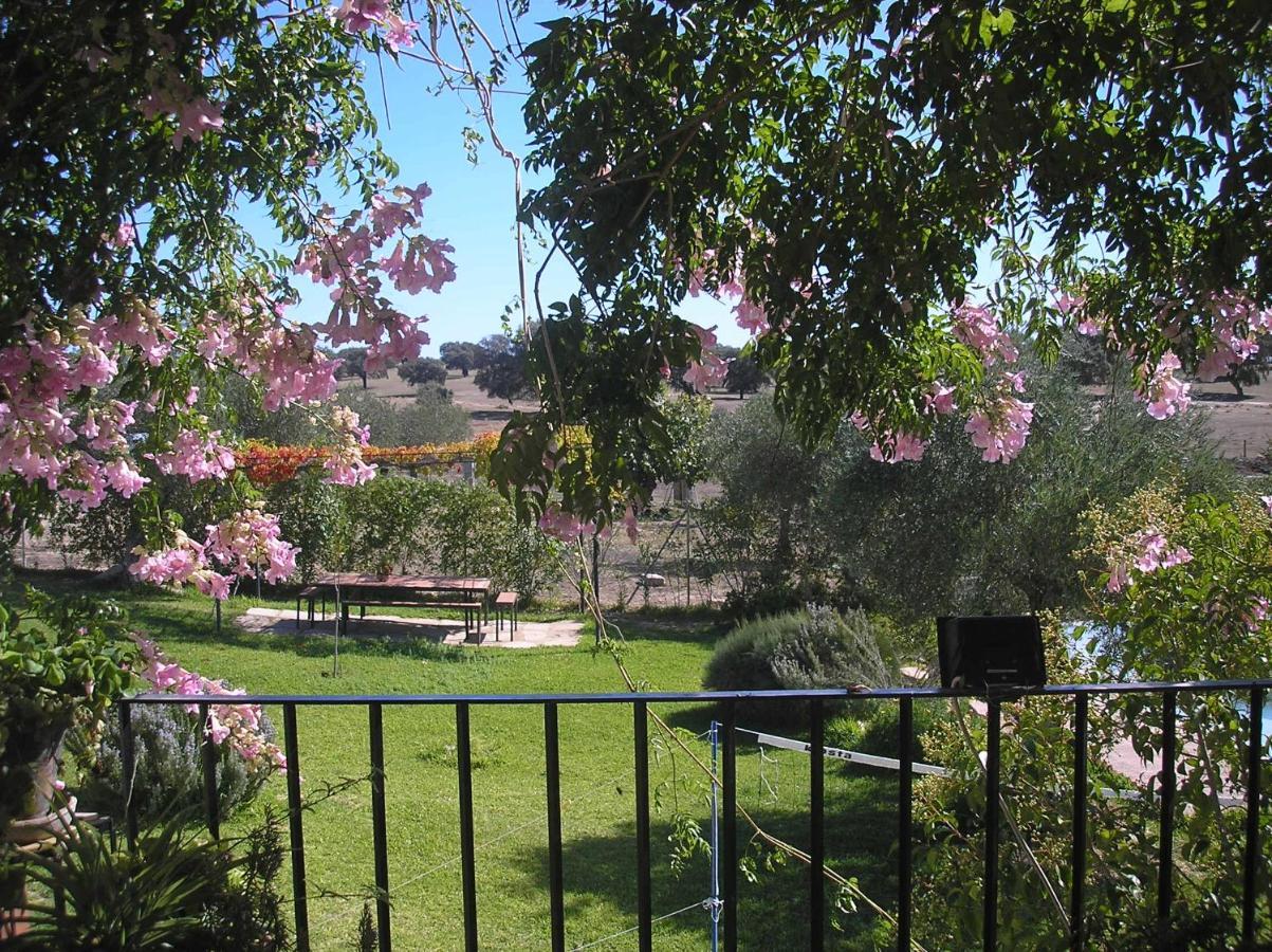 Casa Rural "El Carrasca" El Carrascalejo Bagian luar foto