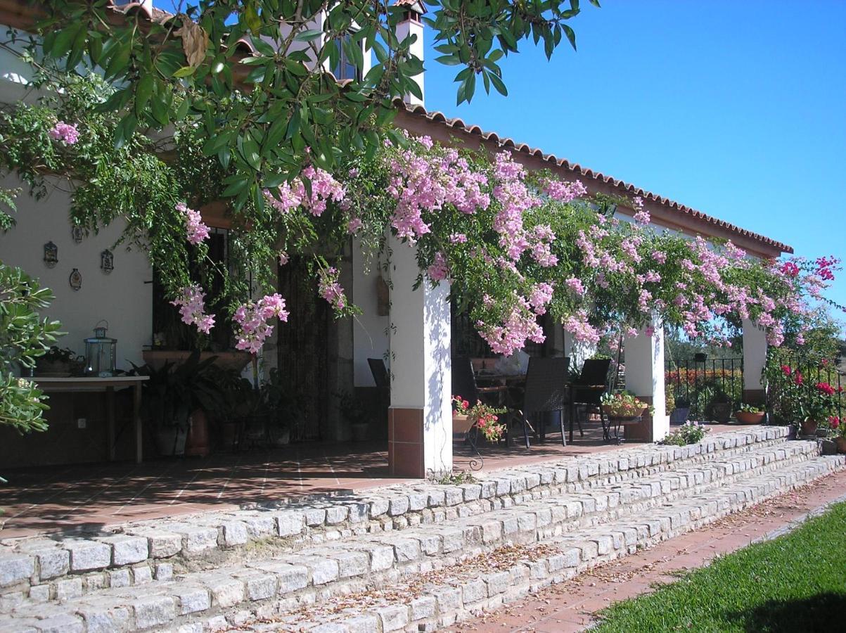 Casa Rural "El Carrasca" El Carrascalejo Bagian luar foto